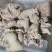牛肠头大量供应，价格便宜，吨起聊价，可视频看货