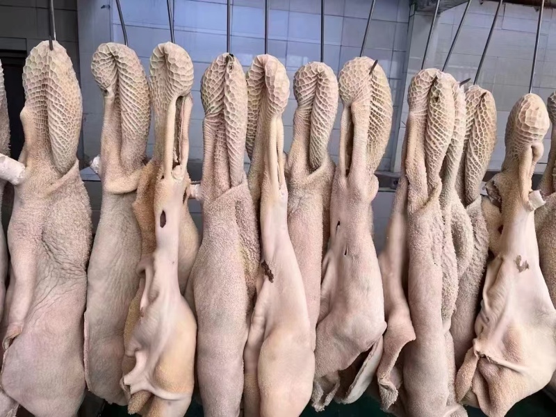 牛肚常年供应，一手货源，保质保量，价格优惠，诚信经营