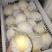精品鸭梨，品质保证，价格优惠，产地直发，诚信经营