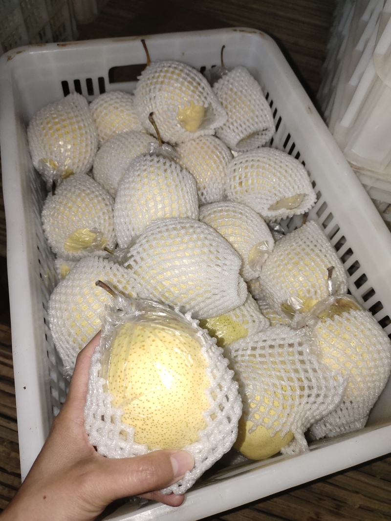 精品鸭梨，品质保证，价格优惠，产地直发，诚信经营