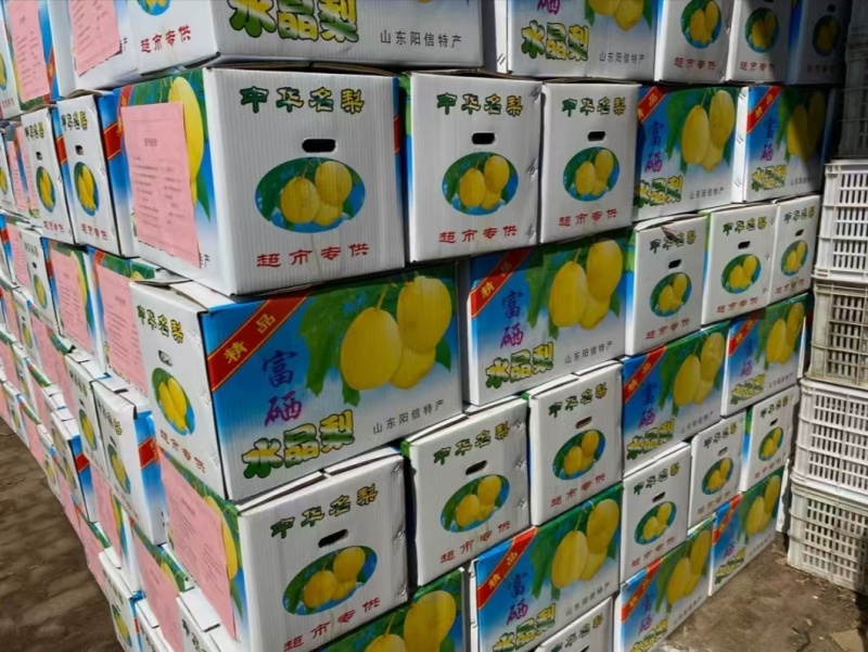 精品鸭梨，品质保证，价格优惠，产地直发，诚信经营