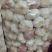 白皮蒜四川大蒜一手货源全年供货量大优惠对接商超
