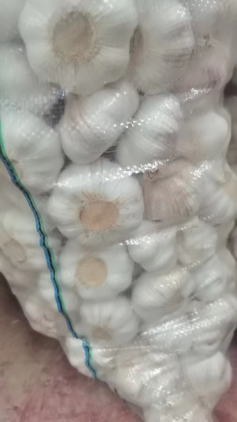 白皮蒜四川大蒜一手货源全年供货量大优惠对接商超
