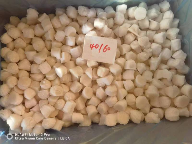 单冻扇贝40/60规格价格优惠常年供应