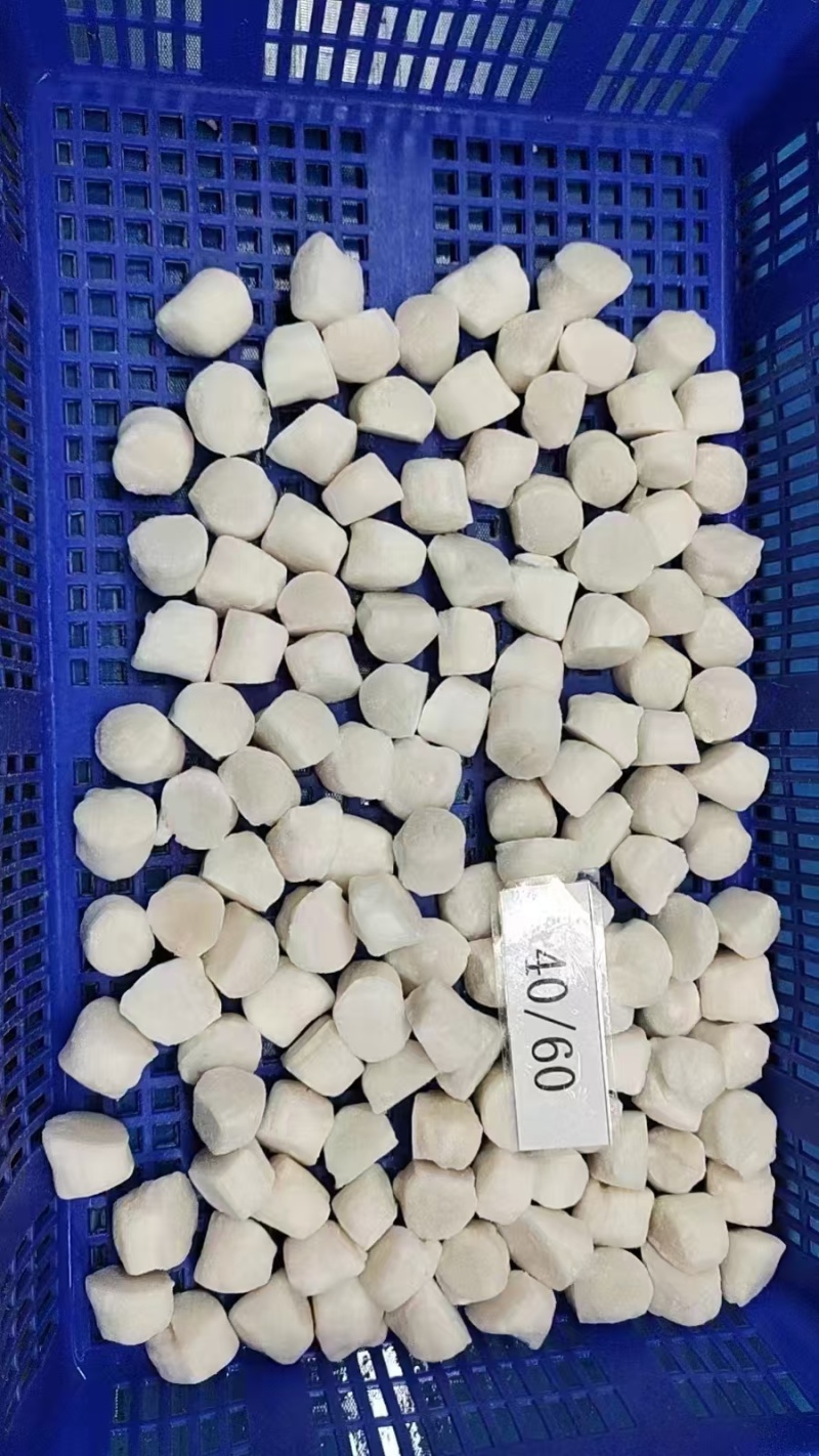 单冻扇贝40/60规格价格优惠常年供应
