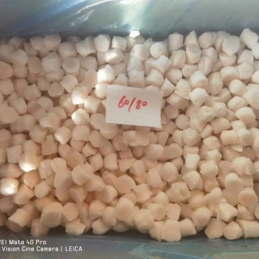 单冻扇贝60/80规格常年供应稳定货源