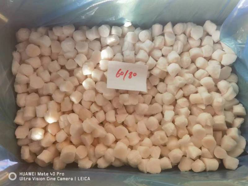 单冻扇贝60/80规格常年供应稳定货源