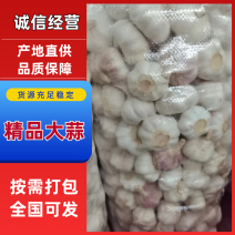 白皮蒜四川大蒜一手货源全年供货量大优惠对接商超