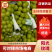 河北饶阳阳光玫瑰葡萄货源充足量大从优欢迎联系