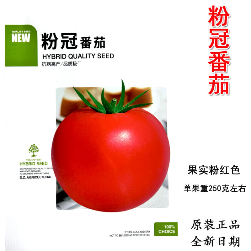 粉冠番茄番茄种子无限生长粉红高圆高产抗病商品性佳春秋