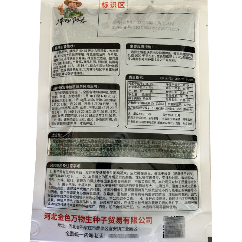 四季大圆叶菠菜种子名望U6F1叶色墨黑油亮直立易扎捆