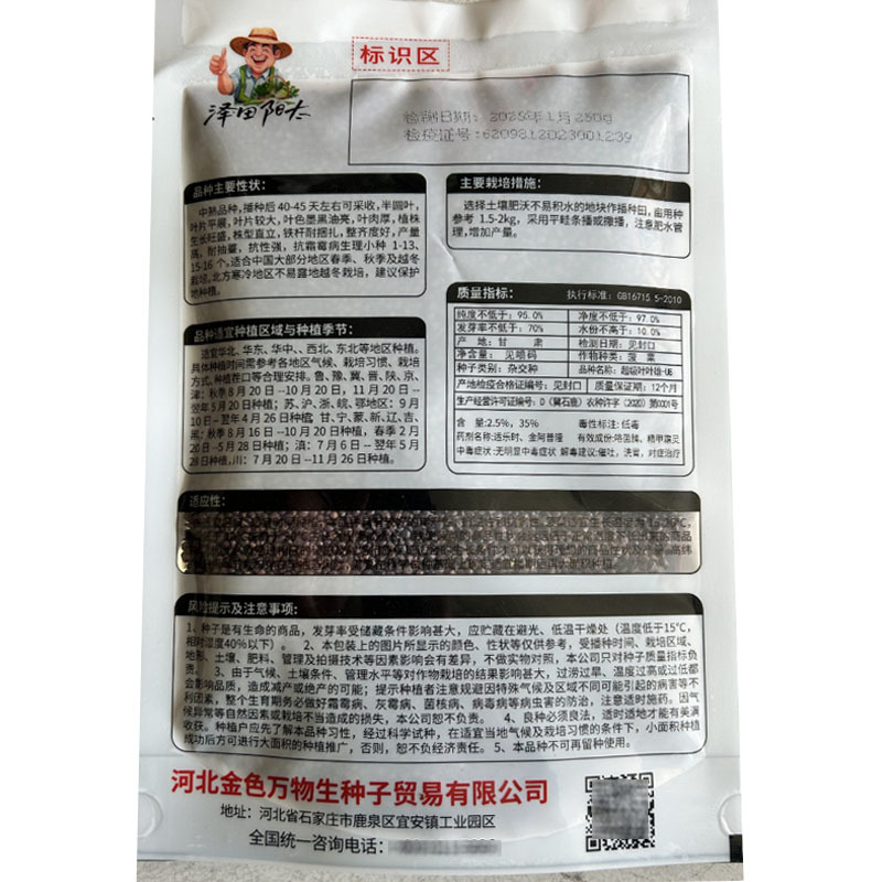菠菜种子超级叶叶雄耐抽速生实杆直立耐扎捆基地品种