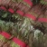 菠菜小叶菠菜基地直供量大从优欢迎咨询