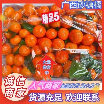 砂糖橘推荐沙糖桔果园直供新鲜现摘量大从优欢迎联