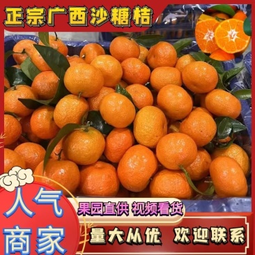 沙糖桔广西砂糖橘货源充足产地一手货源供全国商超
