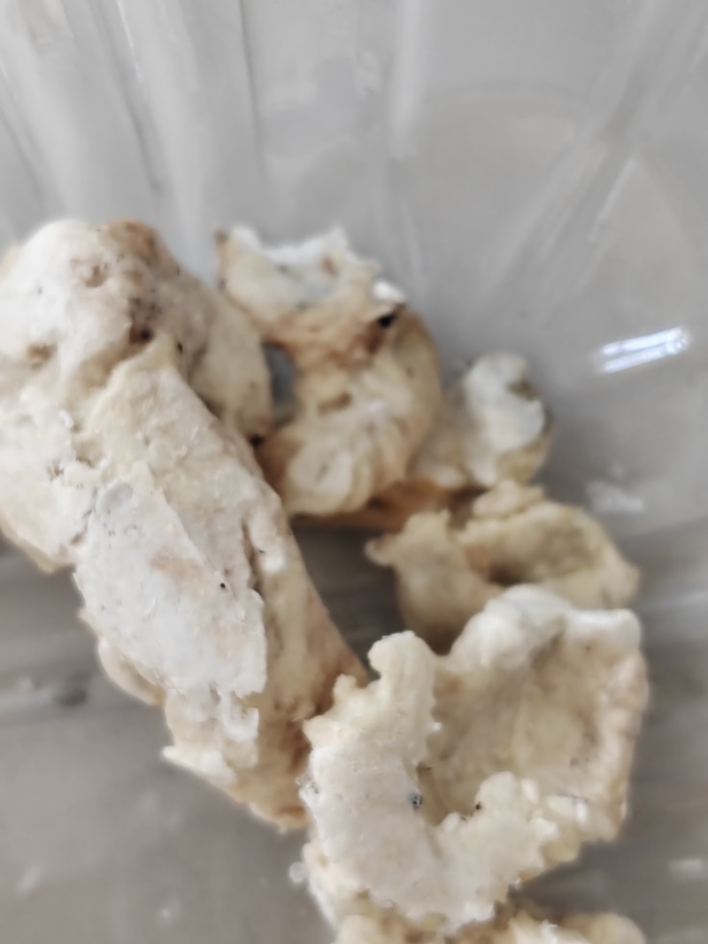 江苏养殖基地直供质量保证证件齐全货源充足欢迎