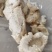 江苏养殖基地直供质量保证证件齐全货源充足欢迎