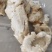 江苏养殖基地直供质量保证证件齐全货源充足欢迎