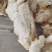 江苏养殖基地直供质量保证证件齐全货源充足欢迎