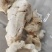 江苏养殖基地直供质量保证证件齐全货源充足欢迎