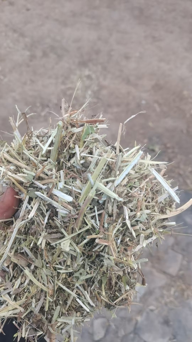 花生秧牛羊马草料全绿。二次加工滚桶无土无膜无霉优质花生秧