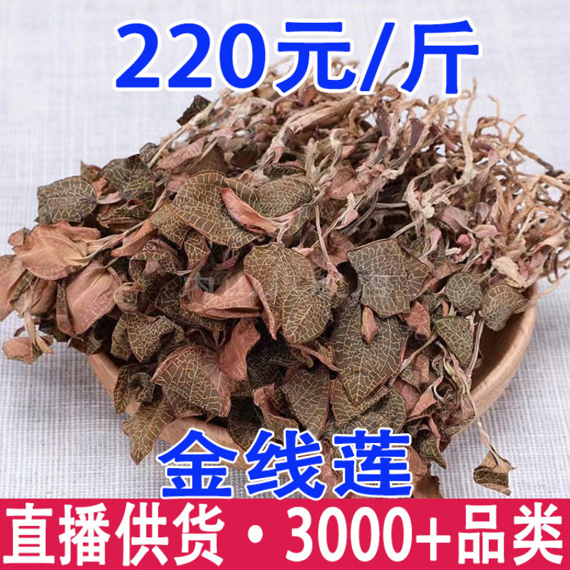金线莲金线莲批发产地货源一件代发