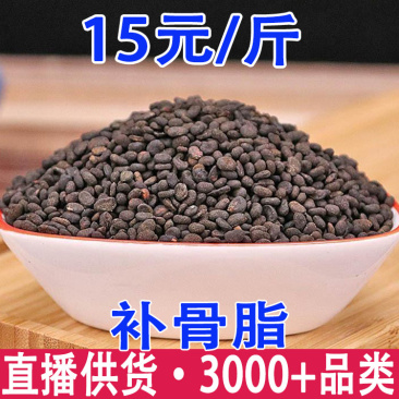 补骨脂破故纸婆固脂一手货源