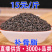 补骨脂破故纸婆固脂一手货源