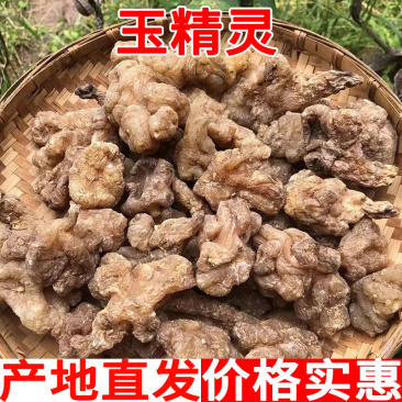 玉精灵正宗云南高原玉精灵玉金灵玉芙蓉雪域高原天然长成包邮