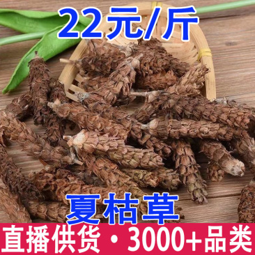 夏枯草夏枯球产地货源