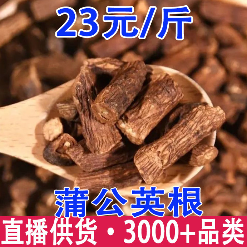 蒲公英根蒲公英根茶蒲公英产地货源