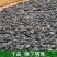 地下明珠一粒金丹落地珍珠一手货源