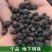 地下明珠一粒金丹落地珍珠一手货源