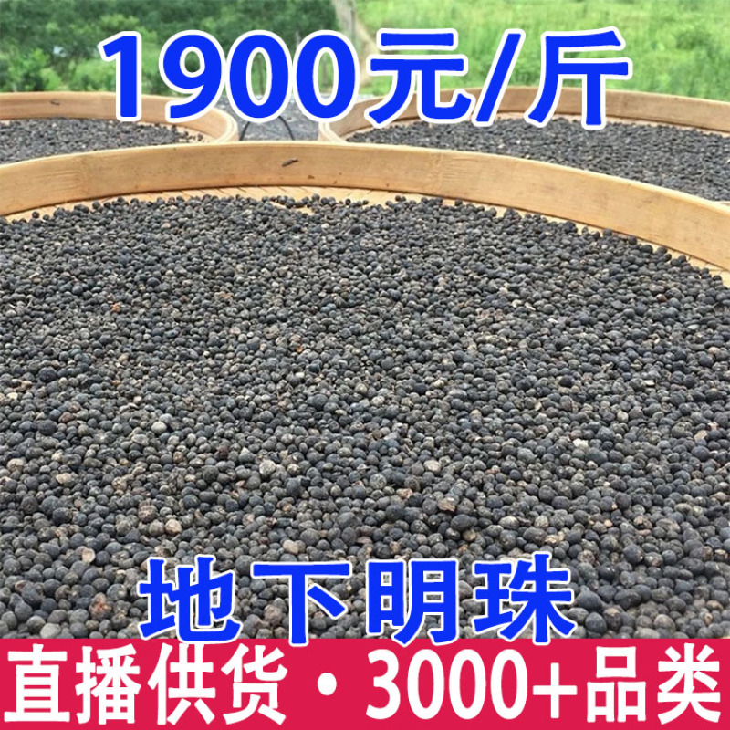 地下明珠一粒金丹落地珍珠一手货源