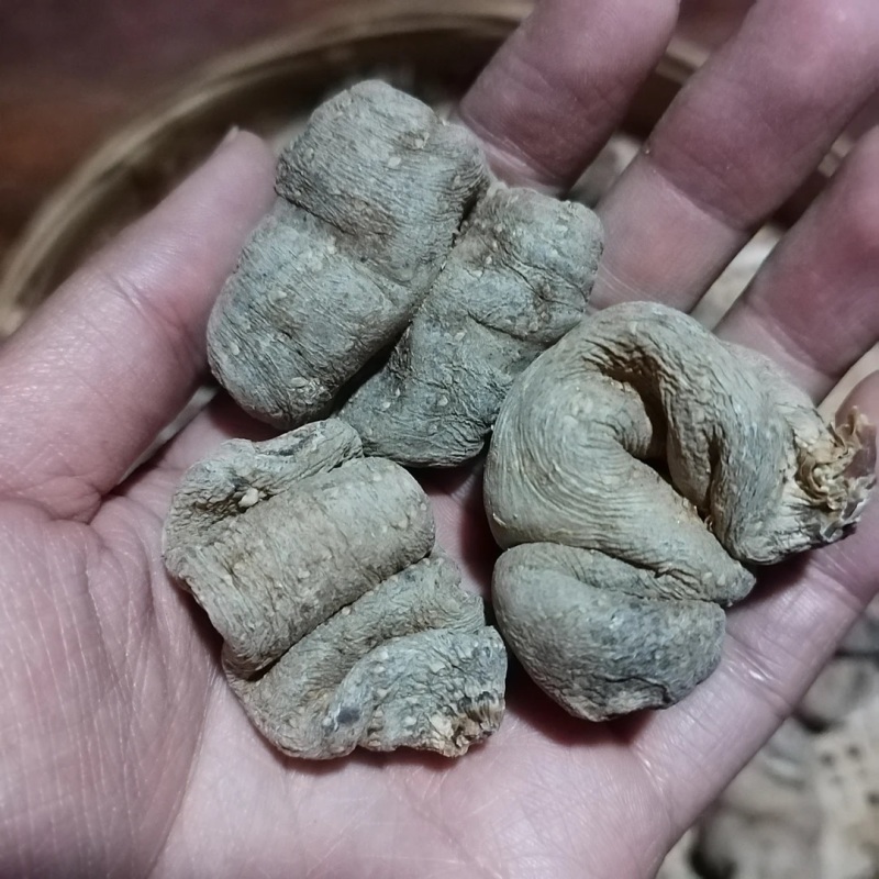 串串天麻串串乌天麻自然风干