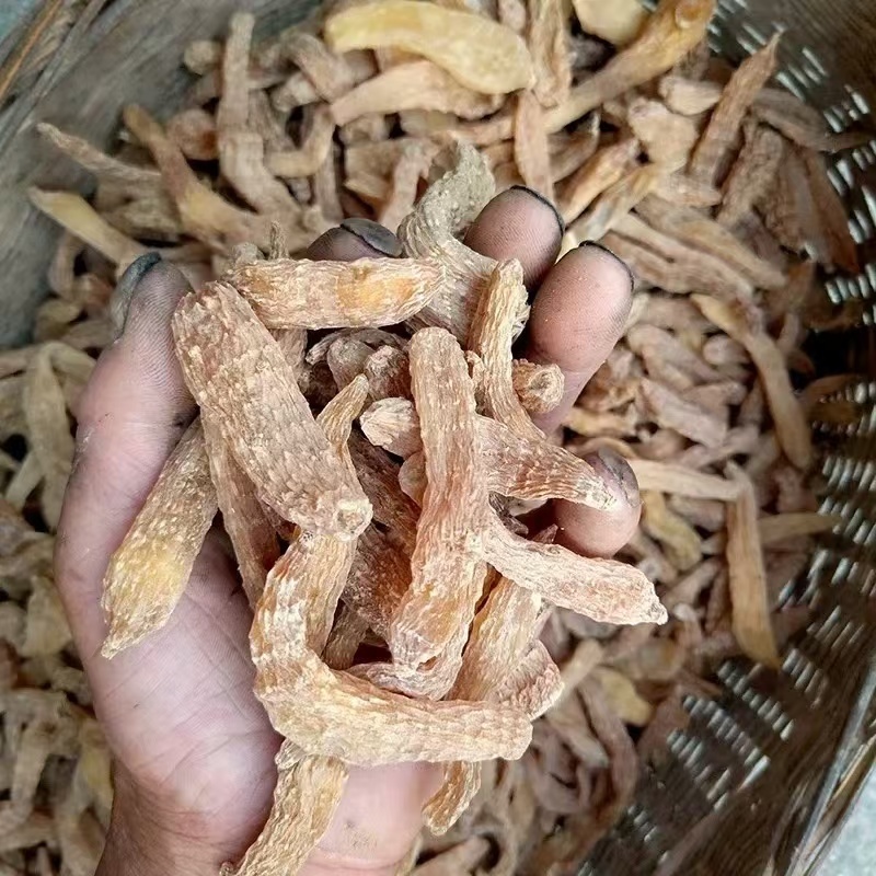 赤剑天麻赤箭天麻产地货源