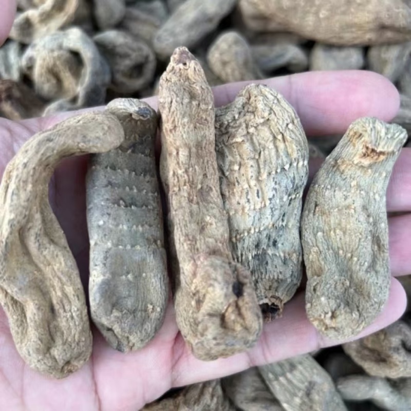 黑天麻乌天麻黑天麻产地货源