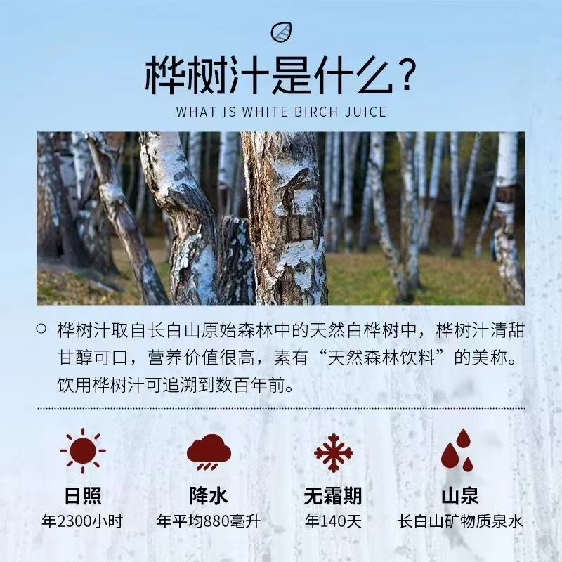 桦树粉桦树茸粉桦树粉大货批发