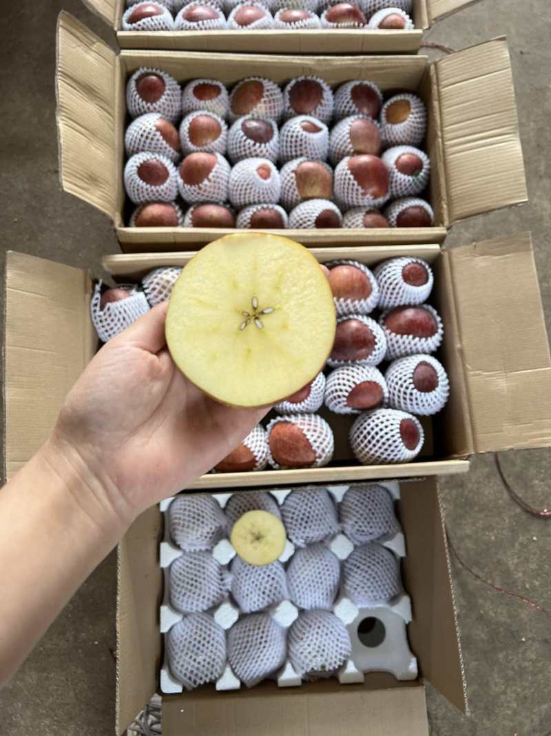 云南昭通丑苹果一件代发产地直发一手货源对接各大电商平台
