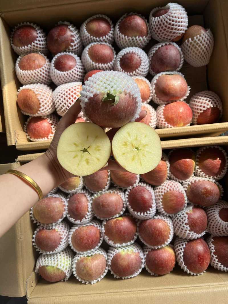 云南昭通丑苹果一件代发产地直发一手货源对接各大电商平台