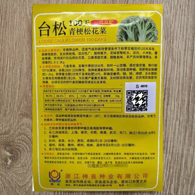 台松100天青梗松花菜种子中晚熟品种花球圆整松大