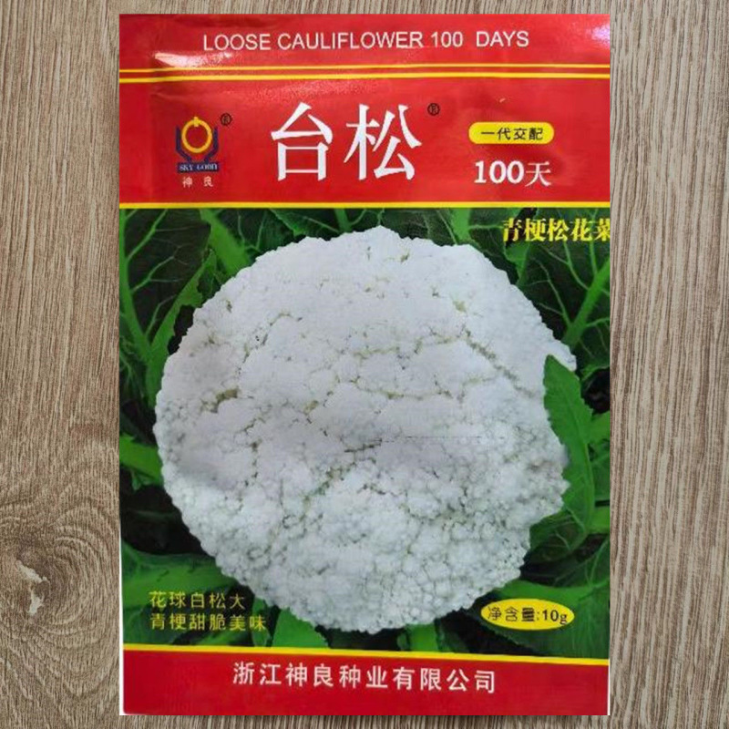 台松100天青梗松花菜种子中晚熟品种花球圆整松大