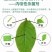 24%虫螨腈·虱螨脲SC
