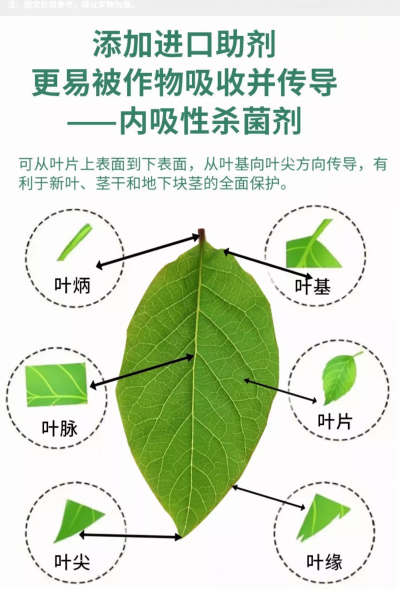 24%虫螨腈·虱螨脲SC