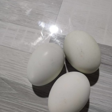 咸鸭蛋