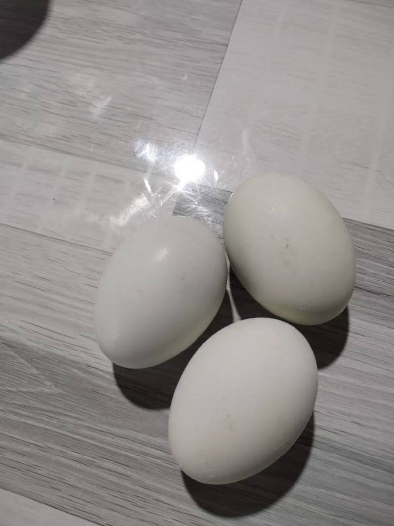 咸鸭蛋