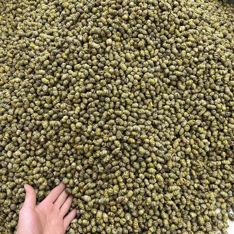 云南石斛紫皮石斛多种规格散装现货批发石斛粉可煲汤磨粉泡茶