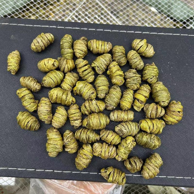 云南石斛紫皮石斛多种规格散装现货批发石斛粉可煲汤磨粉泡茶
