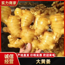 优质大黄姜产地直发品质保障常年供货货源充足量大优惠