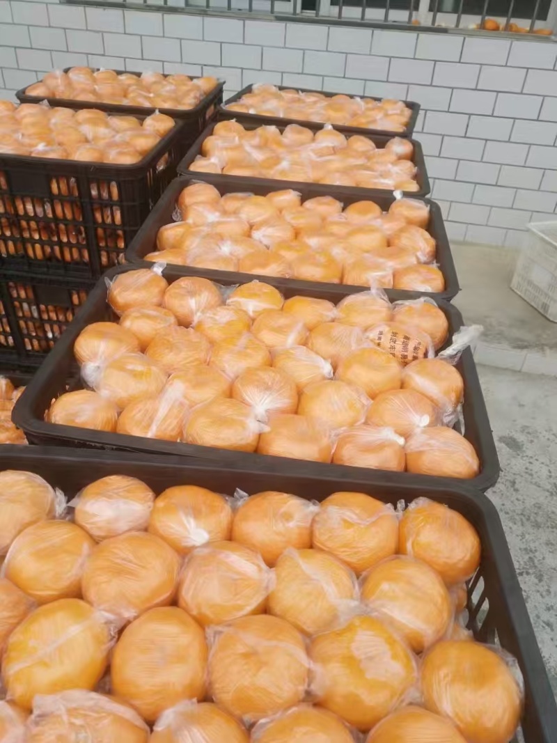 纽荷尔脐橙湖南纽荷尔果园直发各种规格看货论价